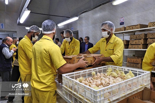 افتتاح کارخانه جوجه کشی هوشمند تمام ایرانی در آبکنار بندر انزلی