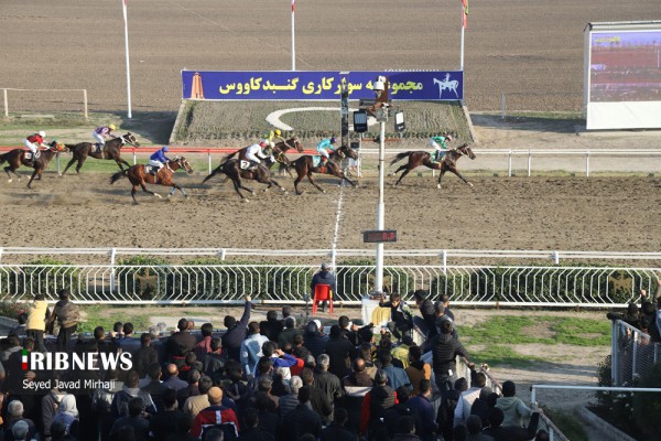 مسابقات کورس اسبدوانی گنبد کاووس در استان گلستان