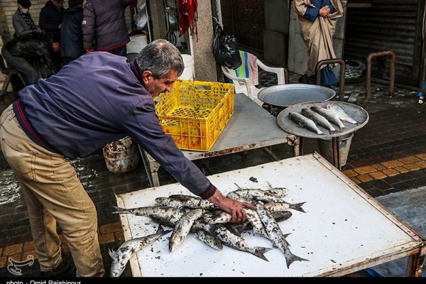 بازار ماهی فروشان شرق گیلان