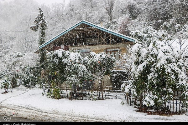 بارش برف در منطقه گردشگری بلوردکان استان گیلان