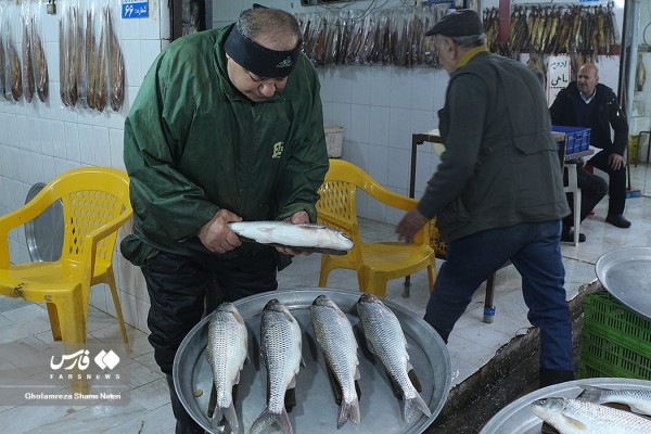 بازار ماهی چالوس