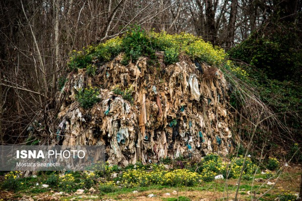 دپوی زباله شهری در جنگل های”مچه بن” سوادکوه شمالی