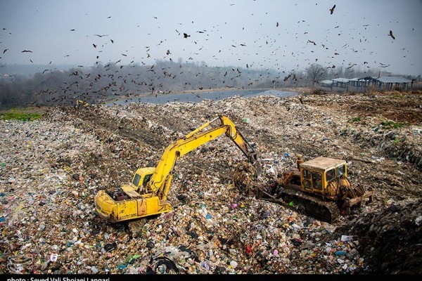 دپوی زباله شهری در منطقه جنگلی انجیلسی بابل‌کنار 