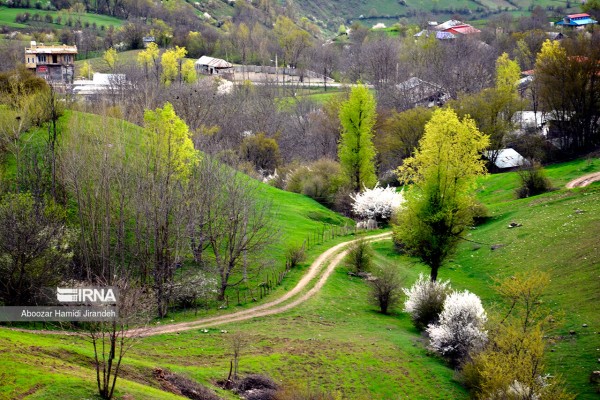 طبیعت بهاری کوهستان رودبار در استان گیلان