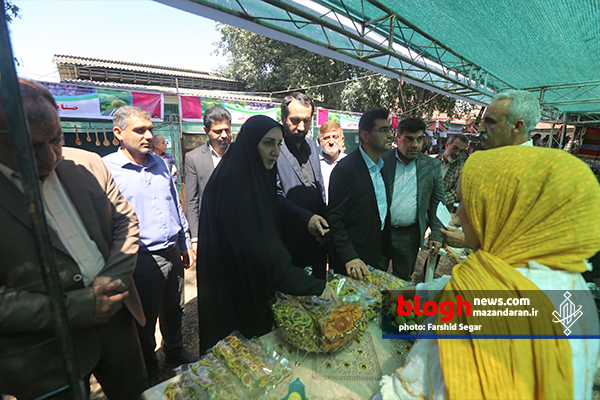 نمایشگاه مرغوبترین انجیر ایران در گلوگاه