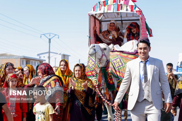 “کُجاوه” در عروسی سنتی ترکمن ها