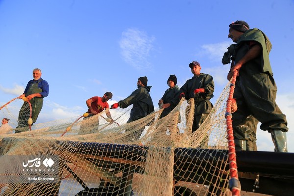 فصل تلاش ماهیگیران مازندرانی در دریای خزر