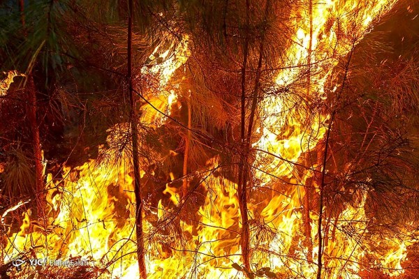 آتش سوزی در دامنه‌ها و ارتفاعات جنگلی گیلان