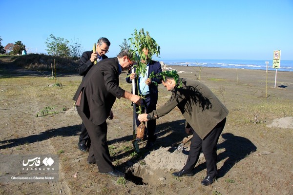 آغاز طرح ملی کاشت یک میلیارد درخت در چالوس