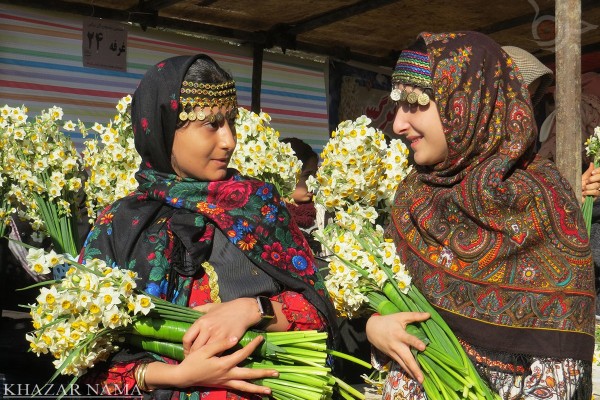 افتتاح ششمین جشنواره گل نرگس در روستای کردکلای جویبار