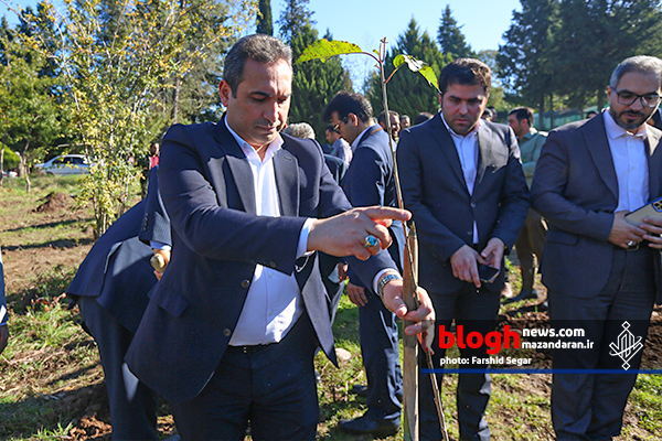 مراسم آغاز طرح سراسری کاشت یک میلیارد درخت در مازندران