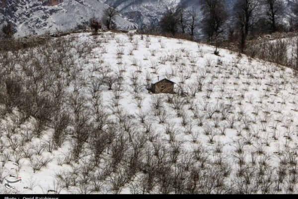 طبیعت زمستانی منطقه گردشگری اشکورات گیلان