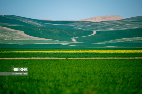 طبیعت ترکمن‌صحرا در استان گلستان