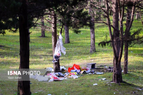 زباله های رها شده در طبیعت گیلان
