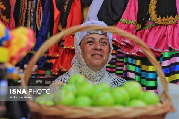 سومین جشنواره آلوچه در صومعه سرای گیلان