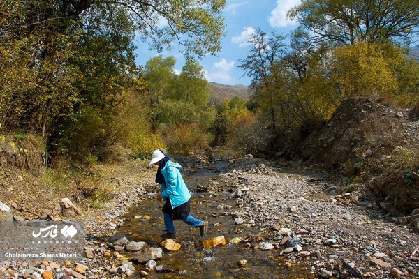 طبیعت پاییزی روستای دونا در بلده شهرستان نور