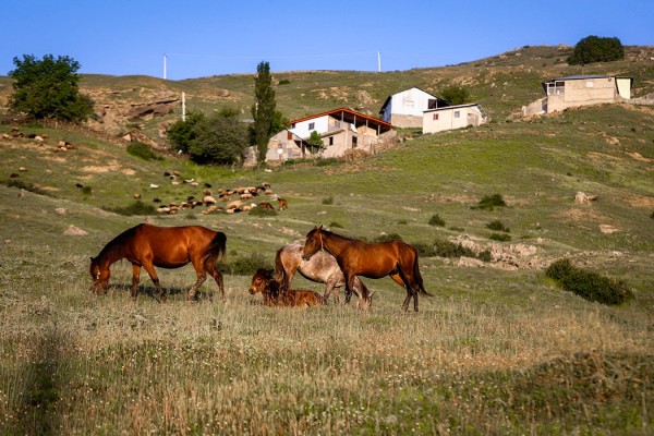 مازندران؛ سبزه‌دیار