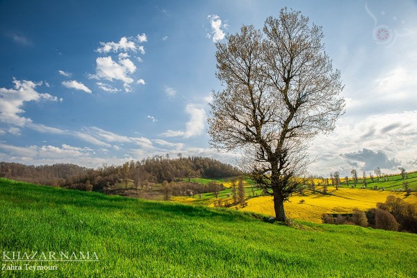 طبیعت مازندران