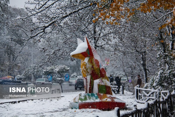 برف پاییزی در جنگل ناهارخوران گرگان