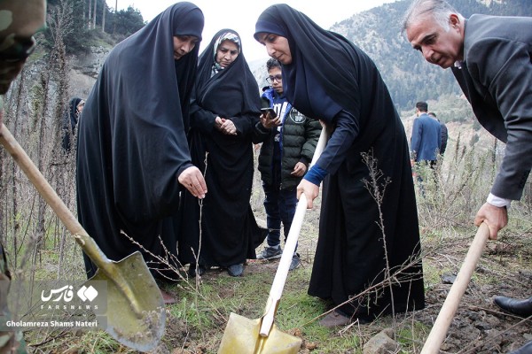 پویش سراسری درختکاری “در سایه مادر” در چالوس