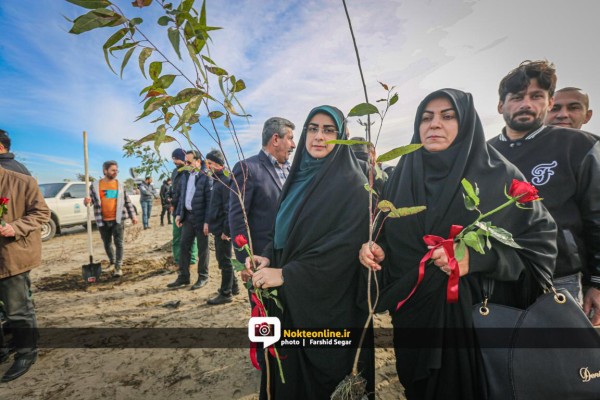 پویش سراسری درختکاری “در سایه مادر” در نوشهر