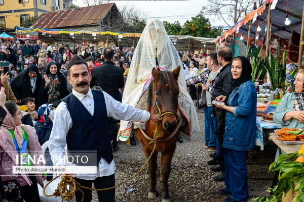 نخستین جشنواره پرتقال در روستای پرشکوه لنگرود گیلان