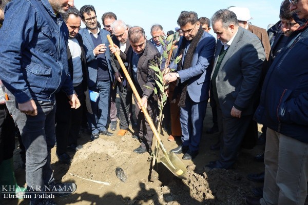 مراسم بزرگداشت هفته منابع طبیعی در شرکت سیمان مازندران