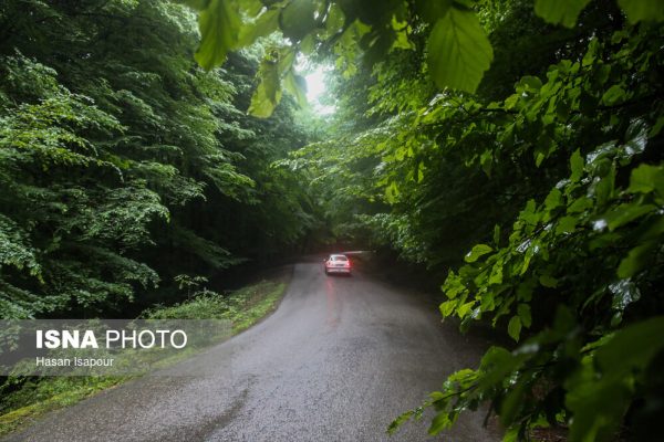 شهر زیراب سوادکوه؛ پایتخت جنگلهای هیرکانی