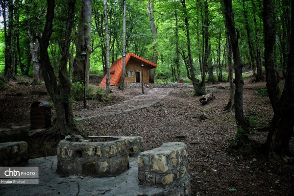 چشمه آبمعدنی قرمرض در جنگلهای شهرستان نکا