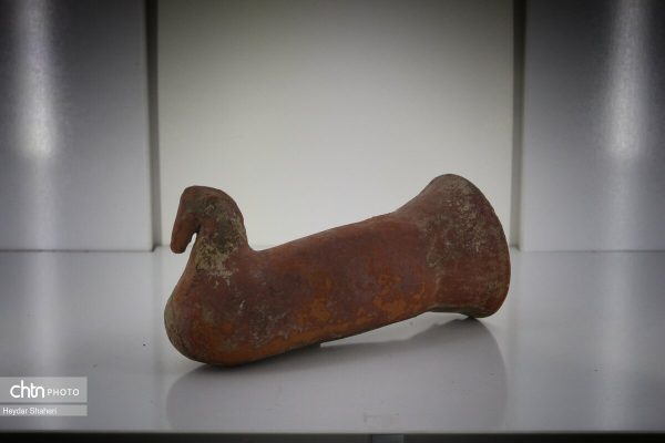 نمایشگاه اشیاء نخستین فصل کاوش در روستای الیت چالوس