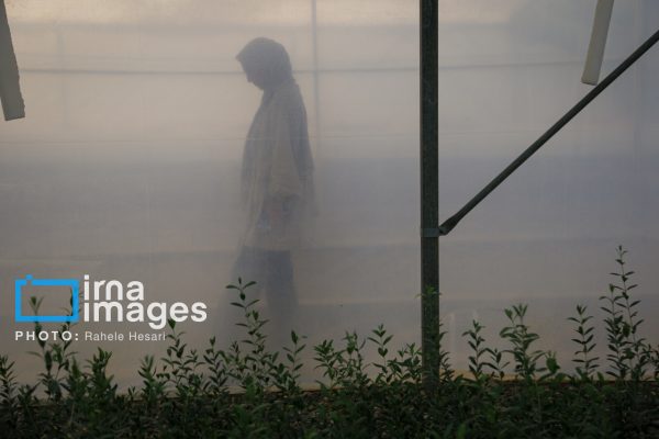 طرح‌های کشاورزی و تولیدی بنیاد مستضعفان در استان گلستان