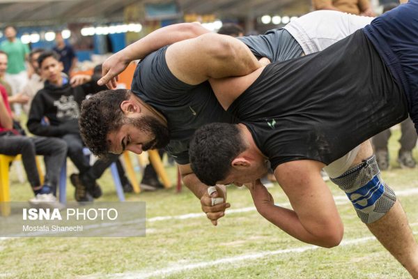 مسابقات کشتی لوچو در پارک جنگلی هفت چشمه میاندورود