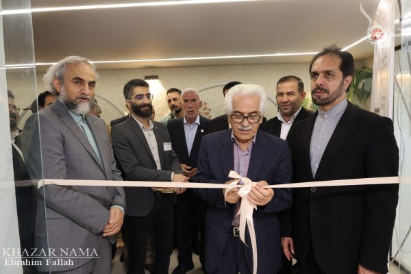 افتتاح نمایشگاه “اکسپو هنر مازندران” در گالری سوره ساری