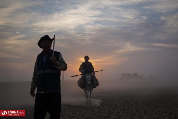 دامپروری در روستای چپرقویمه در شمال شهرستان گنبد کاووس