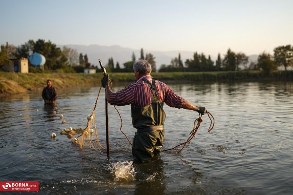 پرورش ماهی در آزادشهر گلستان
