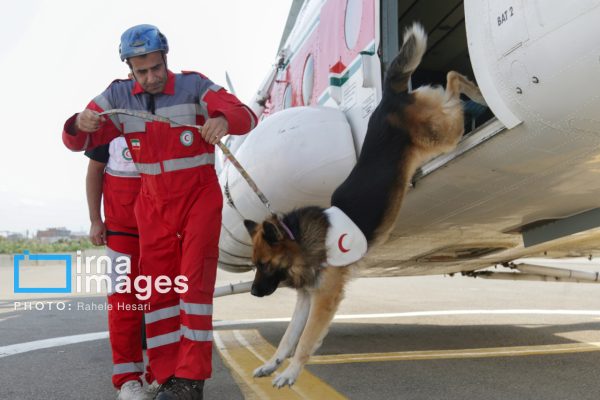 تمرین عملیاتی نیروها و سگ های تجسس در گرگان