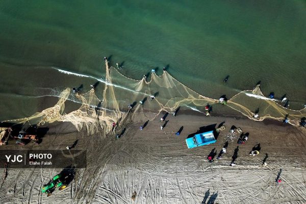 تلاش صیادان گیلانی در دریای خزر