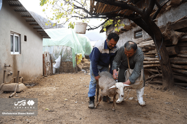 خدمات دامپزشکی و آموزش در روستاهای محروم‌ شهرستان کجور
