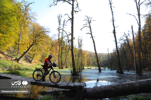 طبیعت پاییزی مُرداب دِریوک کلاردشت