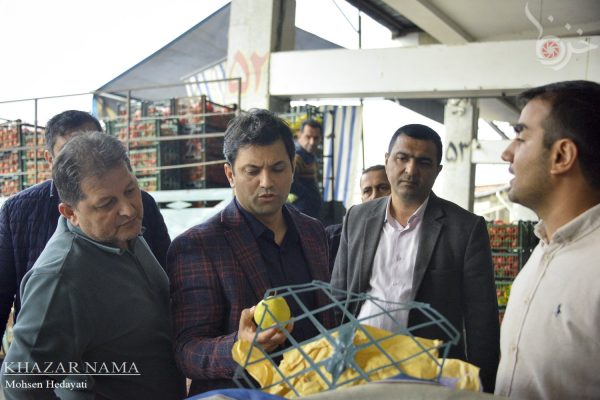 بازدید سرزده رئیس اتاق اصناف مرکز استان از میدان بار ساری