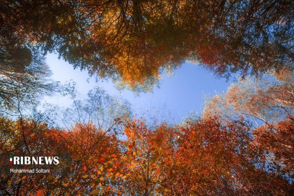 پاییز در مازندران؛ از جاده‌های رنگی تا هوای دل‌پذیر