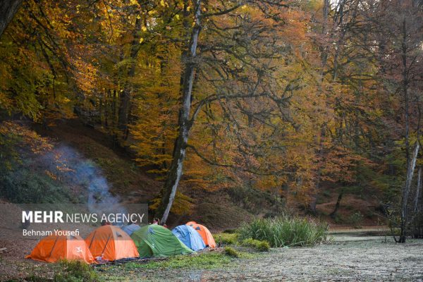 جنگل های پاییزی مازندران