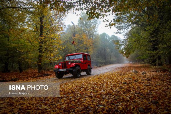 پاییز در جنگل‌های کوهستانی سوادکوه