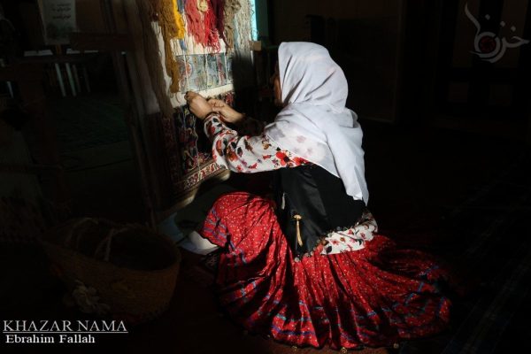 همایش نقش زنان مازندرانی در پاسداشت فرهنگ وکار آفرینی در ساری