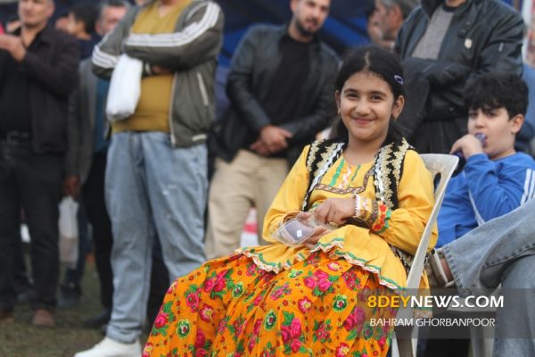 جشنواره برداشت بادام‌زمینی در روستای لیچاه رشت 