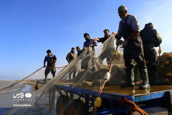 صیادان پره در ساحل فرح آباد ساری