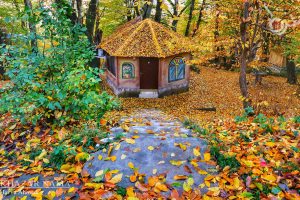 آخرین قدم های پاییز در مناطق جنگلی سوادکوه و ساری