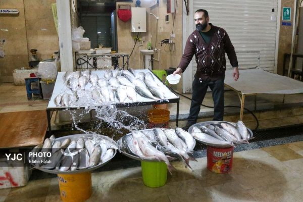بازار ماهی فروشان بندر انزلی