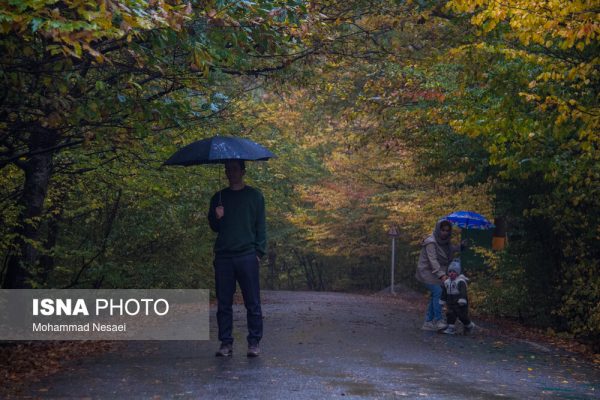 باران پاییزی در جنگل النگدره گرگان