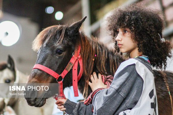بیستمین دوره جشنواره زیبایی اسب کاسپین در منطقه آزاد انزلی